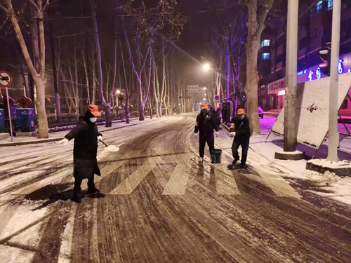 雪天里，洛陽公交人抗擊疫情的最美風景 